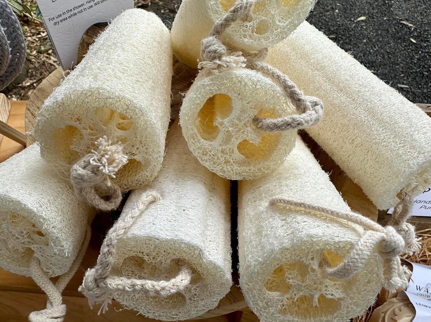 LOOFAH SPONGE