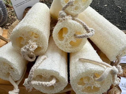 LOOFAH SPONGE